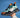 Echo Runner 響走者 Shoes