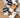 Neko Paws 猫爪 Socks