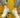 Seishin Sneaker